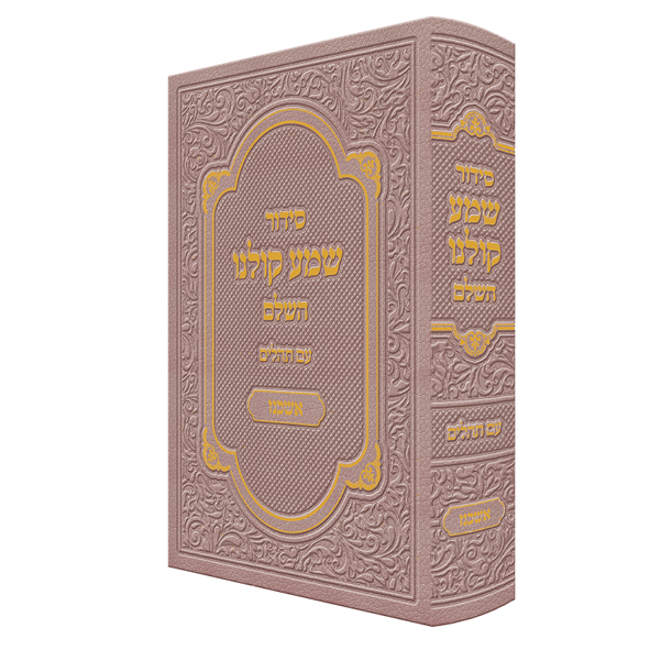 הדמיה27