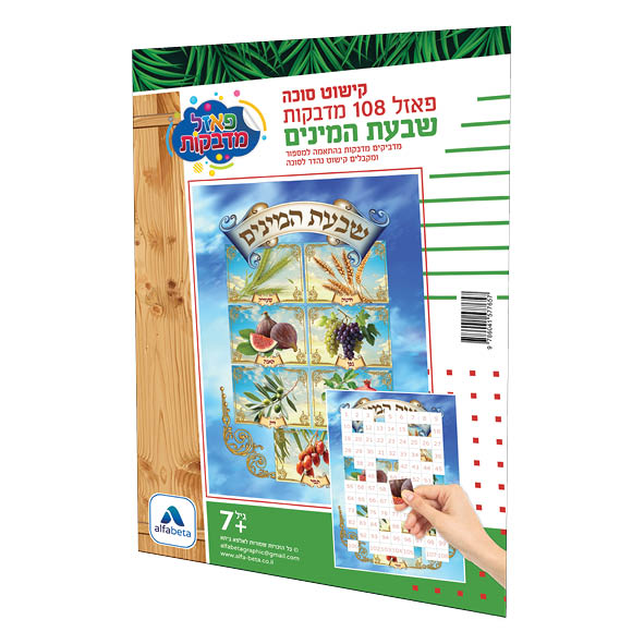 הדמיה91